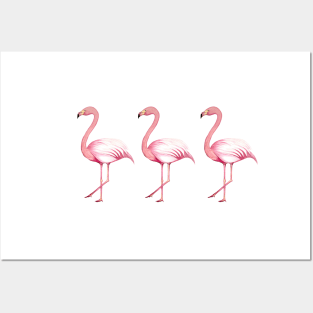 Three Tropical Flamingos Design Posters and Art